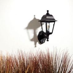 a black lamp on the side of a white wall next to some red plants and grass