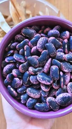 a person holding a purple bowl filled with beans