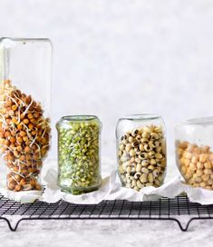 three jars filled with different types of beans and sprouts sitting on a wire rack