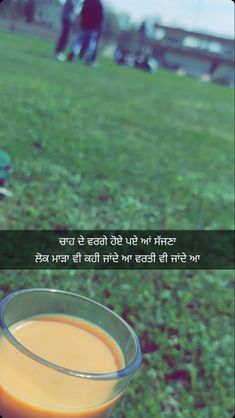 an orange juice in a glass sitting on top of a grass covered field