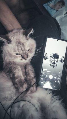 a cat sitting next to a cell phone with a skull on it's screen