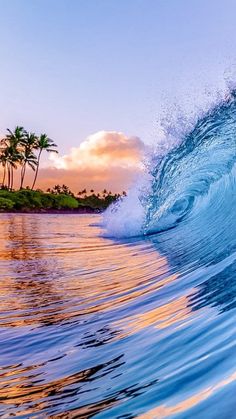 an ocean wave with palm trees in the background