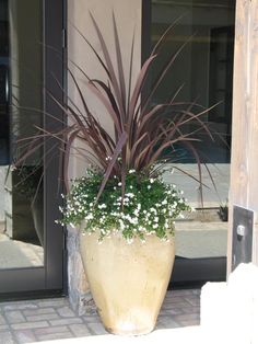 a large potted plant with white flowers in front of a glass door and brick walkway