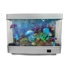 an aquarium with many different types of fish and sea animals in it's tank