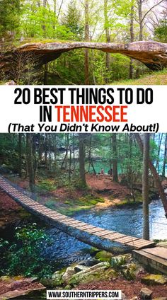 20 Best Things to do in Tennessee (That You Didn't Know About!) Tennessee Waterfall Road Trip, Wears Valley Tennessee Things To, Best Hiking In Tennessee, South Pittsburg Tennessee, Things To Do In Middle Tennessee, Treetop Skywalk Tennessee, Things To Do Near Gatlinburg Tn