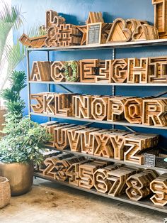 wooden letters and numbers are stacked on top of each other in front of a potted plant