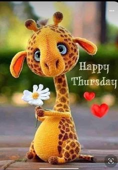 a stuffed giraffe holding a flower with the caption happy thursday