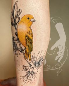 a yellow bird sitting on top of a plant next to a person's leg