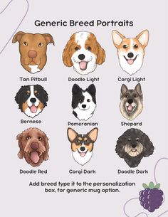 the different types of dogs with their names in each dog's head and neck