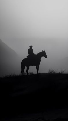 a man riding on the back of a horse