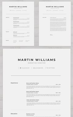 the professional resume template is ready to be used for any job