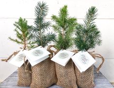 three bags filled with pine trees sitting on top of a wooden table next to each other