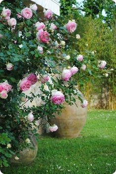 two large vases filled with pink flowers sitting in the grass