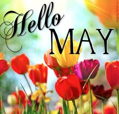 a field full of flowers with the words hello may