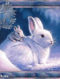 two white rabbits sitting next to each other on a snow covered ground with sparkles