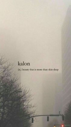 an advertisement for kalon on a foggy city street