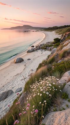 the beach is lined with large rocks and wildflowers at sunset or sunrise time