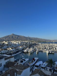 boats are docked in the water at a marina with mountains in the backgroud