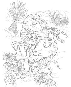 a drawing of two scorpions in the desert with flowers and cactuses around them