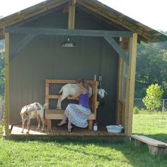 a woman is sitting on a bench with two goats in front of her and a shed behind her