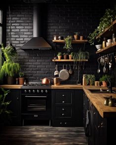 a kitchen with black walls and wooden shelves filled with potted plants on the counters