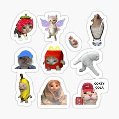 the stickers have different pictures of cats and animals in them, including one cat wearing a hat