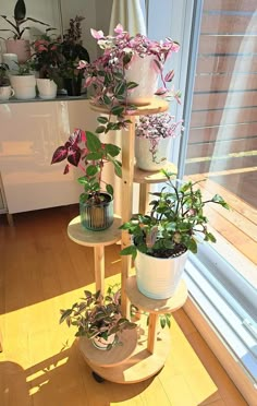 there are many potted plants in the corner of this room and on top of each other