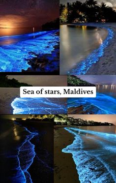 four different pictures with the words sea of stars, maldives written on them