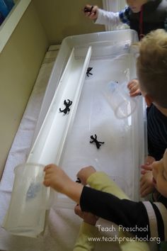 two children are playing with black bugs in a bathtub while another child is holding a plastic container