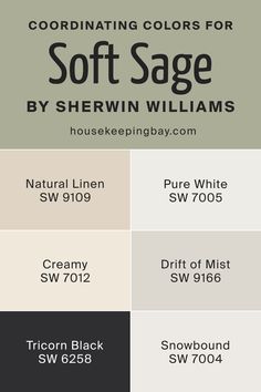 Soft Sage SW 9647 by Sherwin Williams - Coordinating Colors Sw Creamy Paint, Snowbound Sherwin Williams, Drift Of Mist, Tricorn Black, Peaceful Space, House Updates, Clary Sage, Updating House, Trim Color