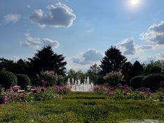 the sun shines brightly over a garden with flowers and water fountain in the foreground