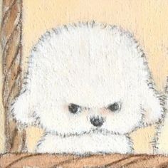 a drawing of a white teddy bear looking out the window