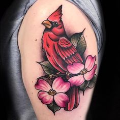 a red bird sitting on top of a pink flower