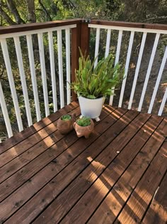 a potted plant sitting on top of a wooden table next to another potted plant