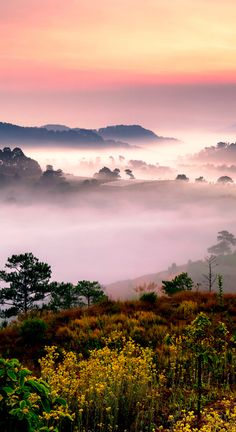 the sun is setting on a foggy mountain range with trees and flowers in the foreground