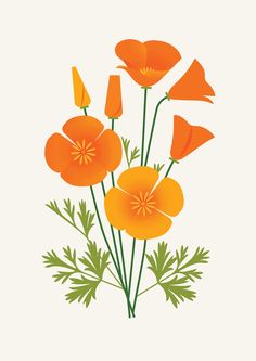 an illustration of orange flowers on a white background