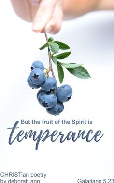 a hand holding blue berries with the words but the fruit of the spirit is temperance