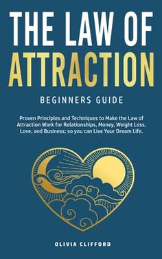 the law of attraction beginners guide