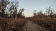 an empty train track in the middle of some brush and trees with no leaves on it