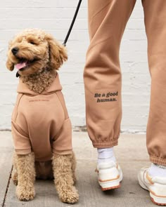 a dog wearing a hoodie standing next to someone's legs with their feet on the ground