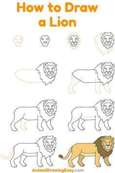 how to draw a lion step by step instructions for kids and beginners with pictures