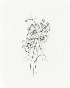 a drawing of some flowers on a white background