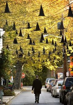 a man is walking down the street in front of parked cars and trees with black cones hanging from them