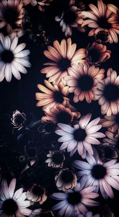 an image of flowers that are in the dark