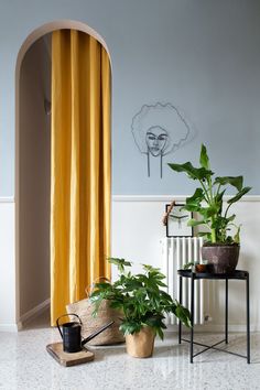 a room with some plants in it and a yellow drapes on the window sill