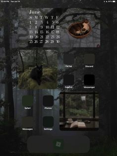 an image of a calendar with animals in the woods and trees on it's side