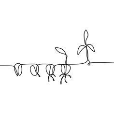 continuous line drawing of three plants on a wire with leaves and stems attached to each other