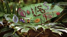 a green leaf with many different items on it