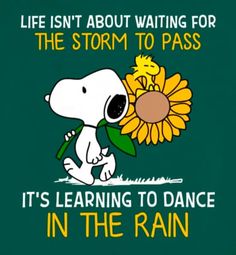 snoopy with sunflower saying life isn't about waiting for the storm to pass it's learning to dance in the rain