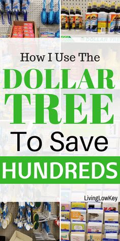 dollar tree to save hundreds in store with text overlay reading how i use the dollar tree to save hundreds